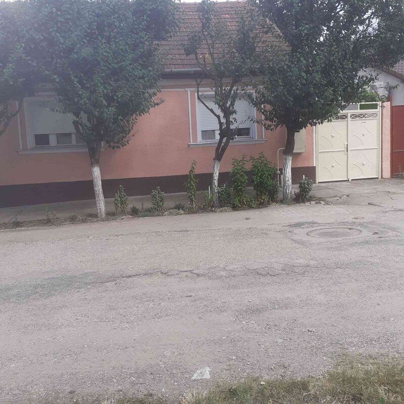 Arad Micalaca